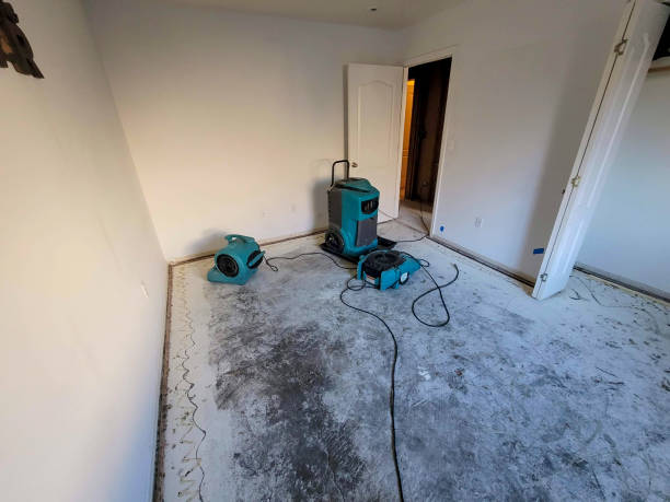 Best Water damage restoration process  in Grand Terrace, CA