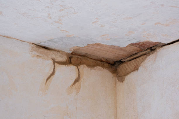 Best 24-hour water damage restoration  in Grand Terrace, CA