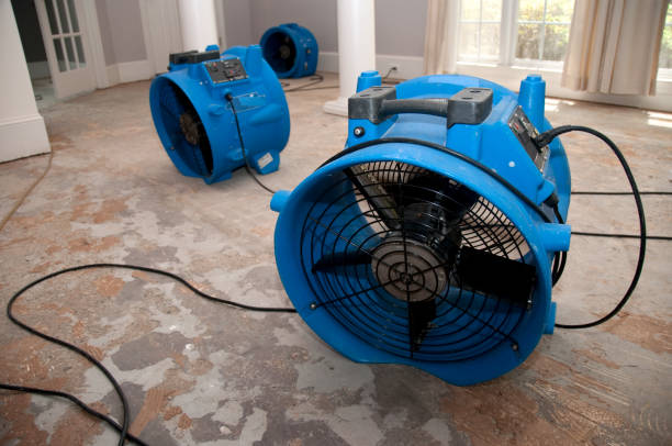 Best Carpet water damage restoration  in Grand Terrace, CA