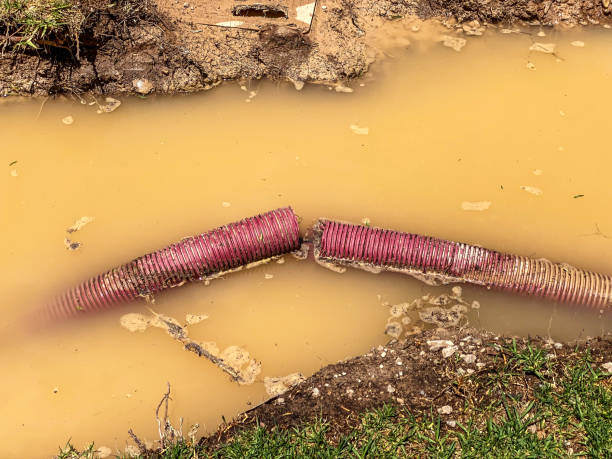 Best Emergency water damage restoration  in Grand Terrace, CA